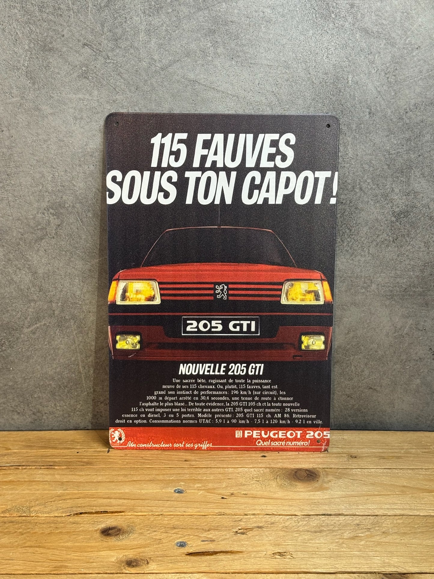 Plaque métal Peugeot 205 GTI 938